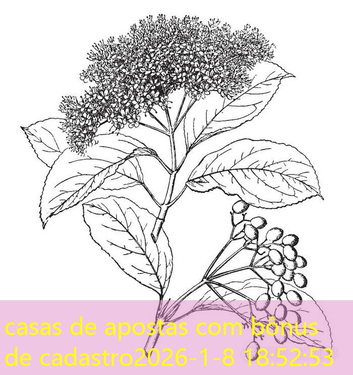 casas de apostas com bônus de cadastro